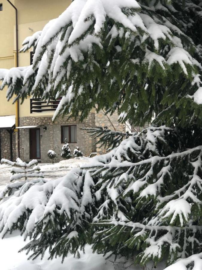דירות פויאנה ברשוב Apartament Nicolle מראה חיצוני תמונה