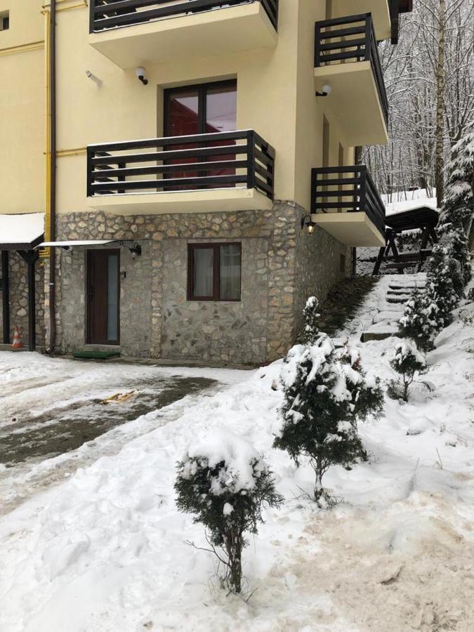 דירות פויאנה ברשוב Apartament Nicolle מראה חיצוני תמונה